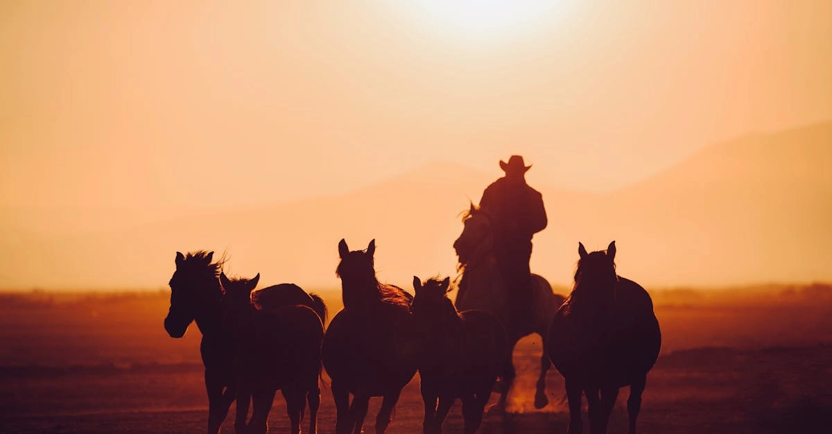 Wild West Gold Megaways слот с расчетом выгодной стратегии игры