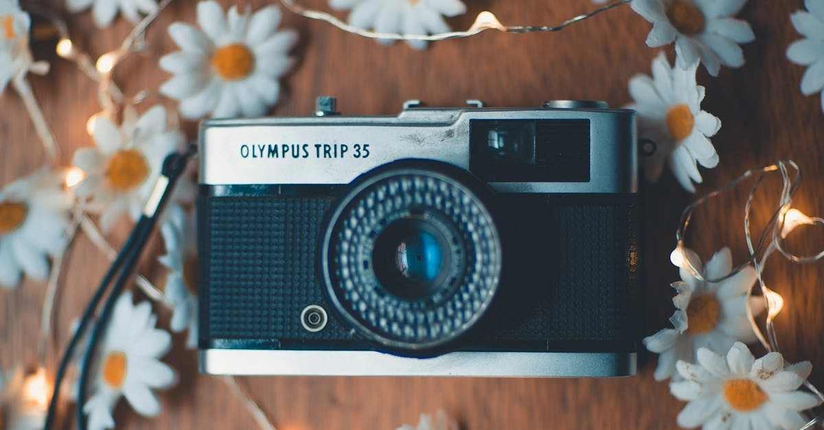 Gates of Olympus Super Scatter игровые стратегии и анализ выгоды